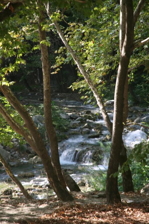 Roes Suites Káto Loutrákion Dış mekan fotoğraf